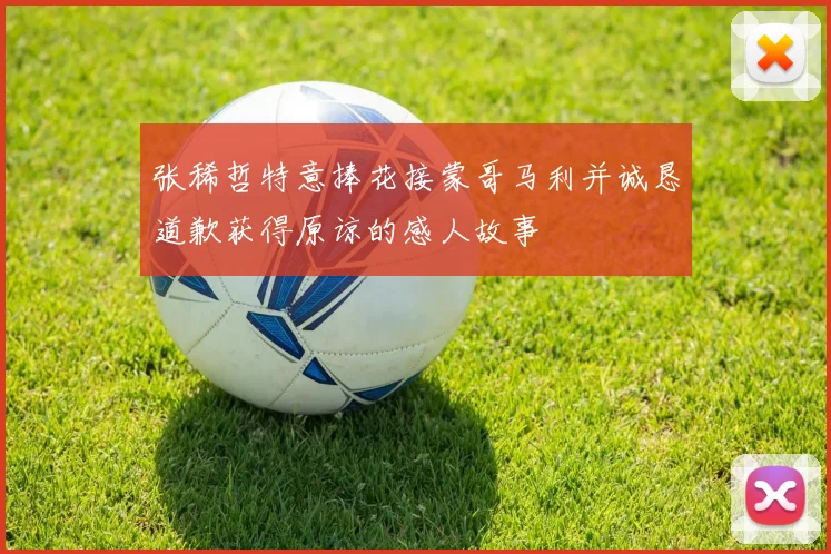 张稀哲特意捧花接蒙哥马利并诚恳道歉获得原谅的感人故事