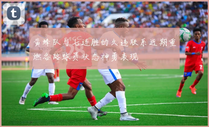 黄蜂队与七连胜的久违联系近期重燃各路球员状态神勇表现