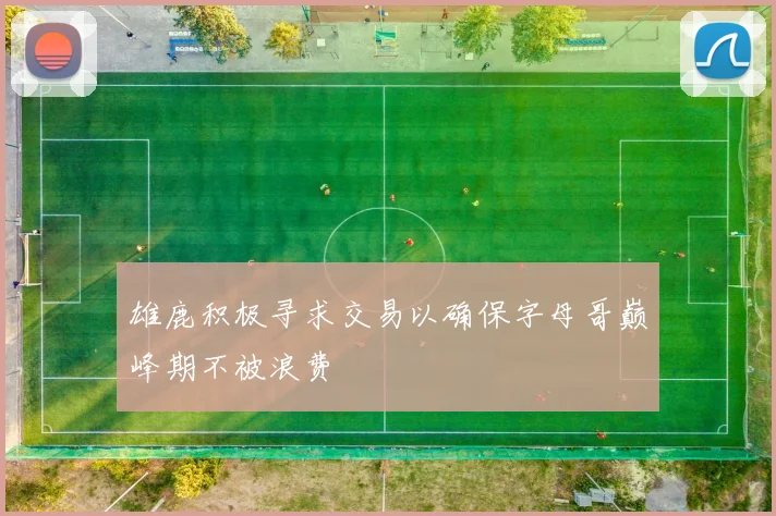 雄鹿积极寻求交易以确保字母哥巅峰期不被浪费